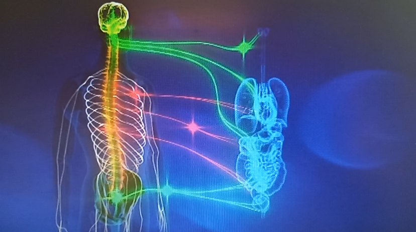 Bild Symbiose_1